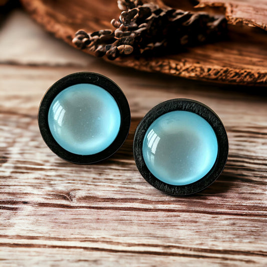 Blue Resin Natural Black Wood Unisex Stud Earrings - Stylish & Versatile Accessories