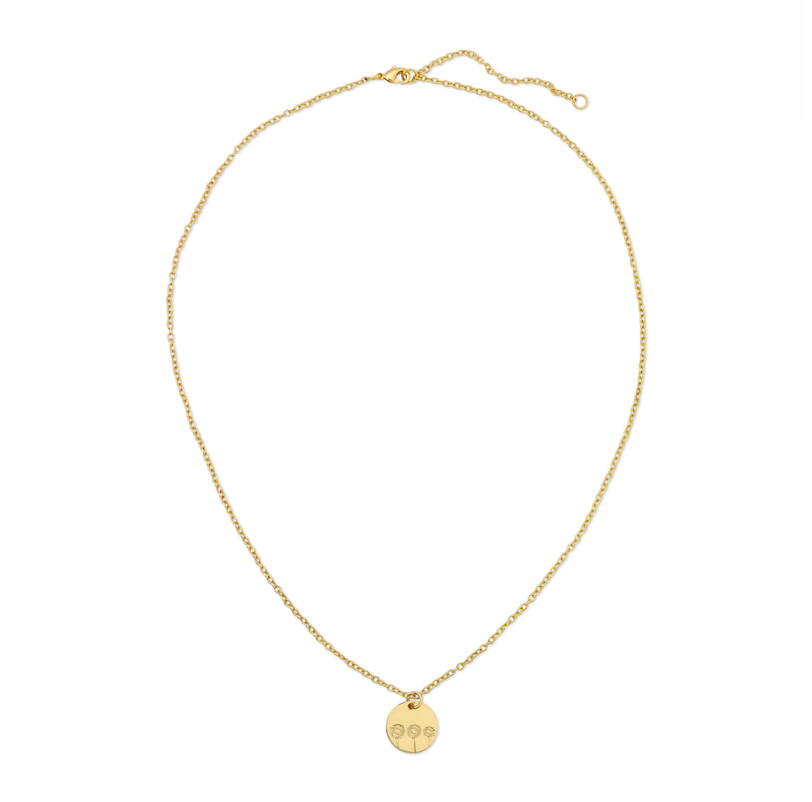 Gold botanical daisy necklace with etched flower pendant