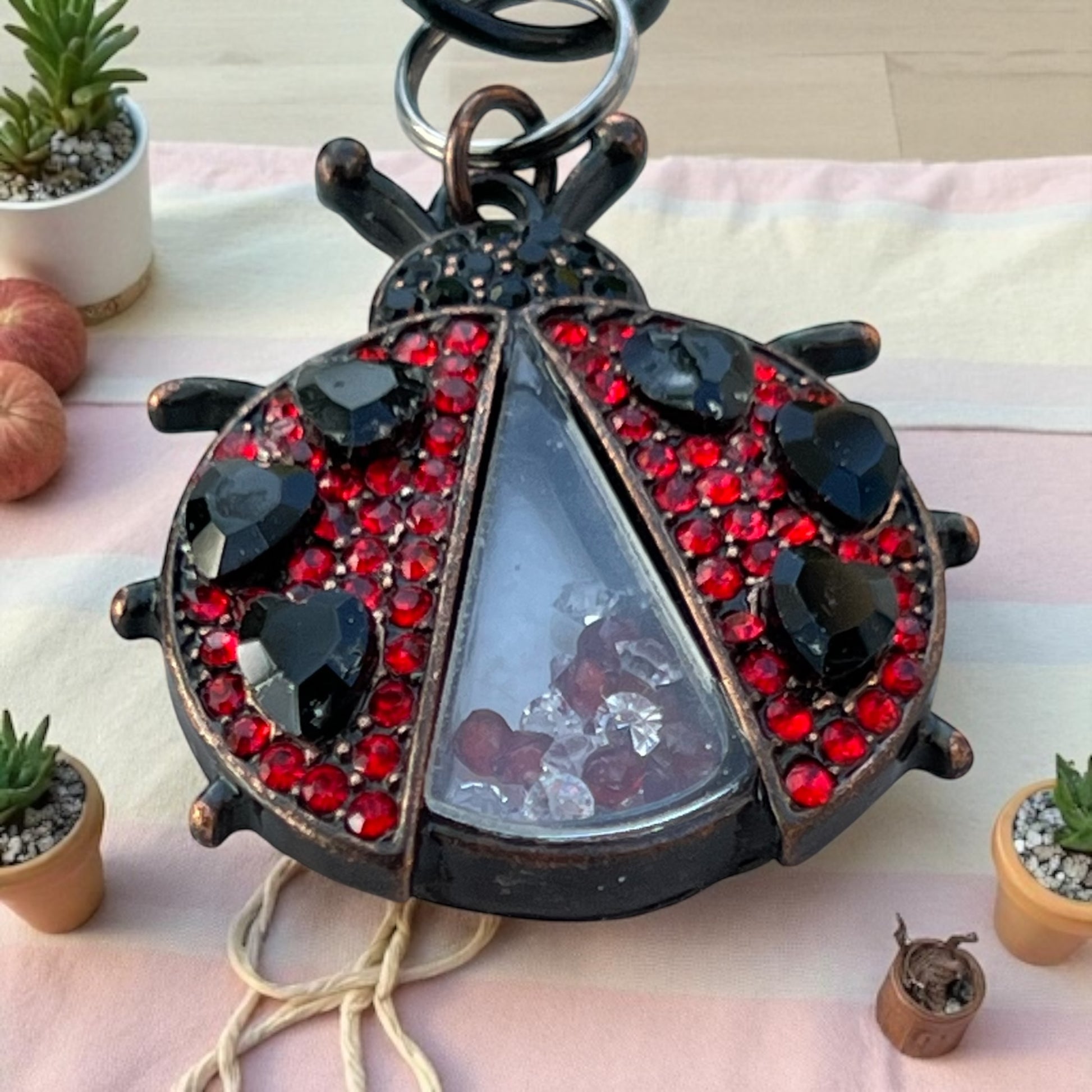 Decorative keychain shaped like a ladybug with red and black gemstones on a table with plants.