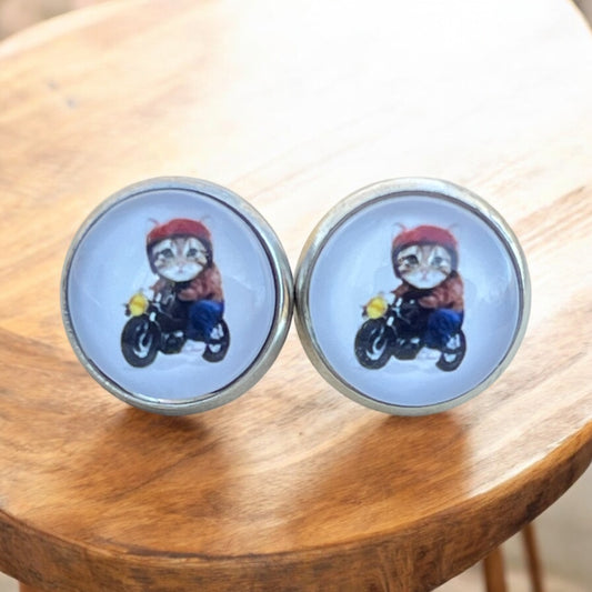 Quirky biker cat stud earrings with sunglasses and leather jacket