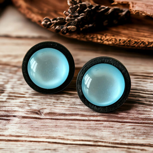 Round light blue resin stud earrings with black wood border displayed on rustic wood